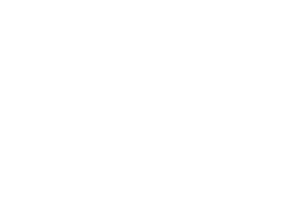 Tbs Forum Virtuel Pro Puce