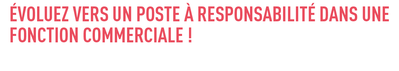 fichier 9responsable du dév co