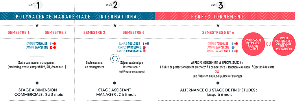 Tbs Bachelor Parcours Proposes