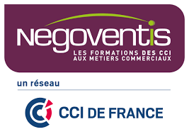 Logo Negoventis CCI France