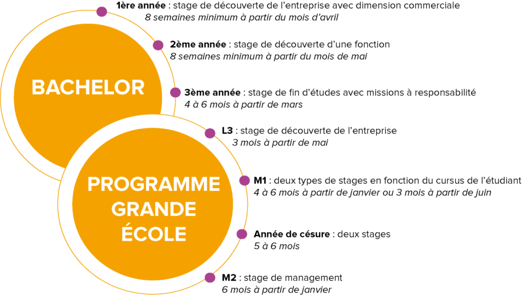 Programmes et stages