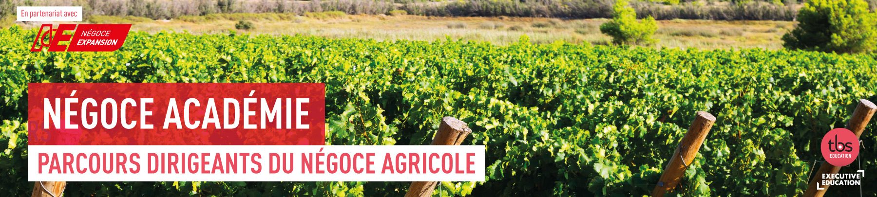 plan de travail 6 50 1