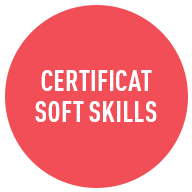 certificat soft skills