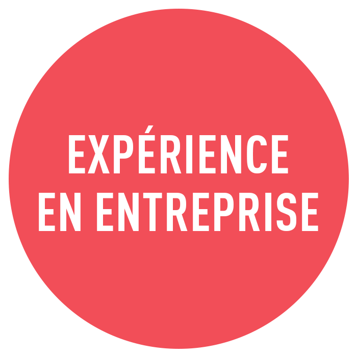 experience en entreprise