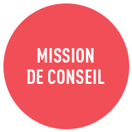 mission de conseil