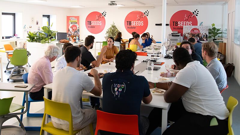 tbseeds workshop