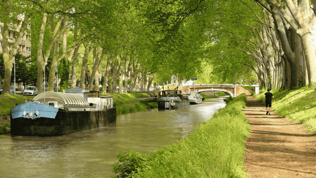 design sans titre 33