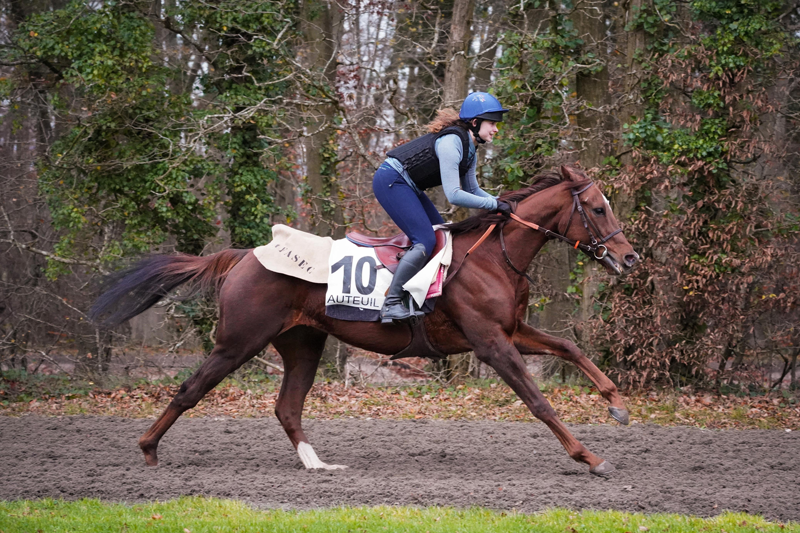 980ab7b5 05e7 4921 90e7 a967ae374cc2 bd