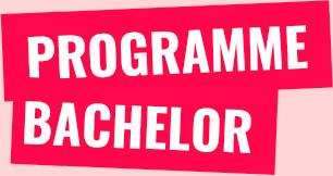 bachelor slider nouvelles fiieres rentree 2026 progamme