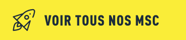 Voir Msc