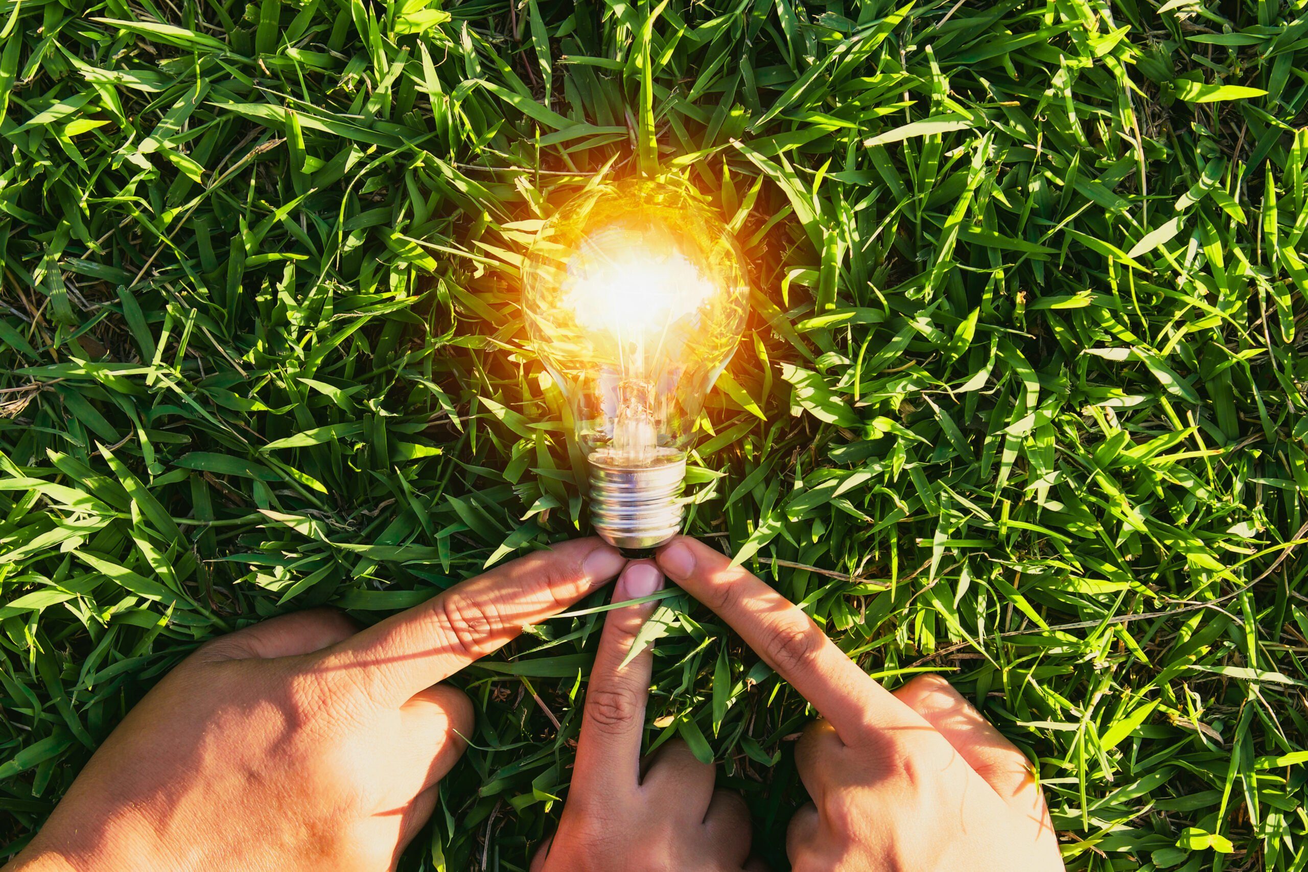Un projet responsable ? Participez à nos Eco-Awards 2021 !